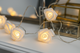 String of rose-shaped lights on a reflective surface with a blurred background